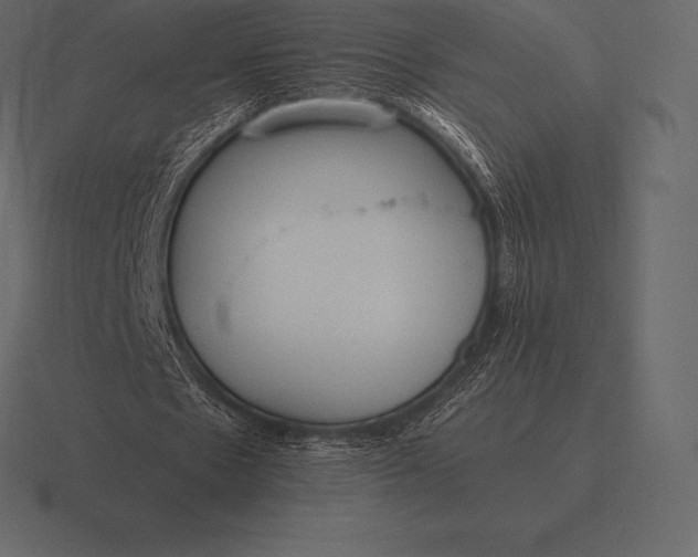 X0000116560481200912241618