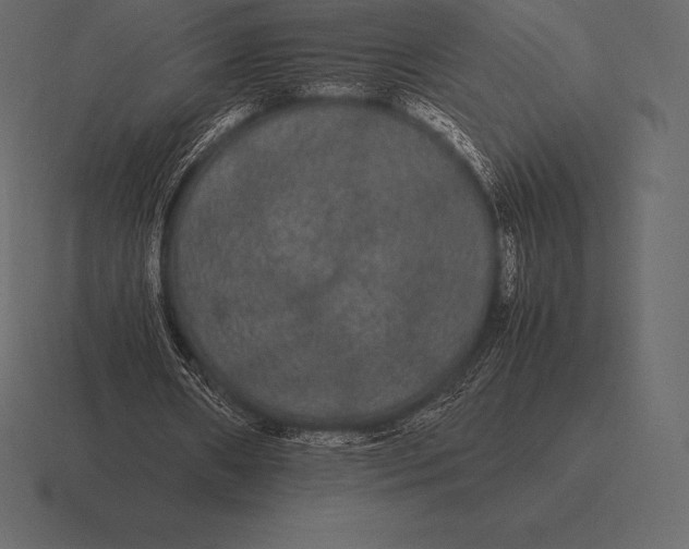 X0000116560482200912241618