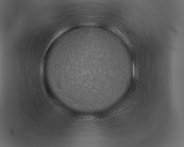 X0000116560483200912241618