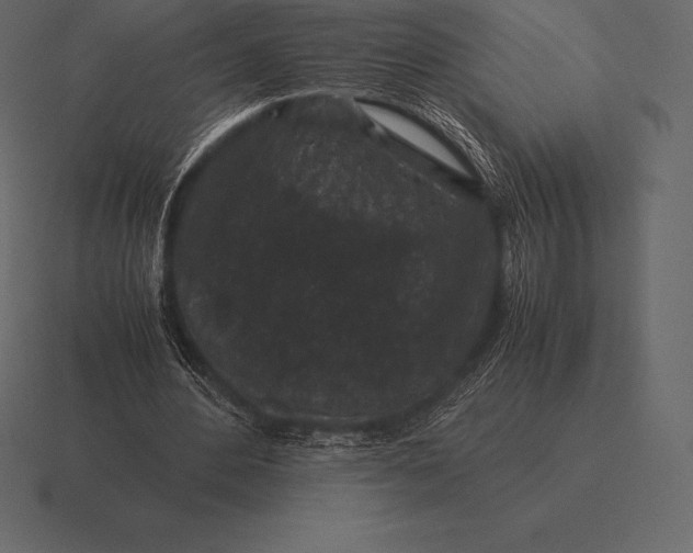 X0000116560484200912241618