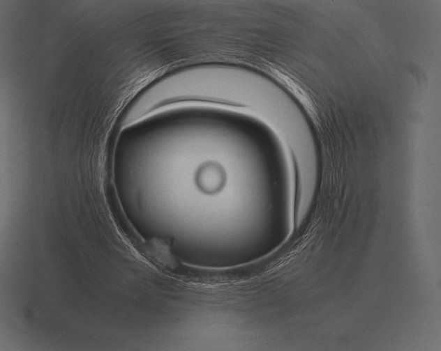 X0000116560485200912241618