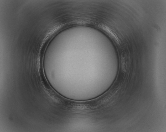 X0000116560486200912241617