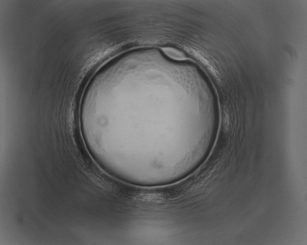 X0000116560487200912241617