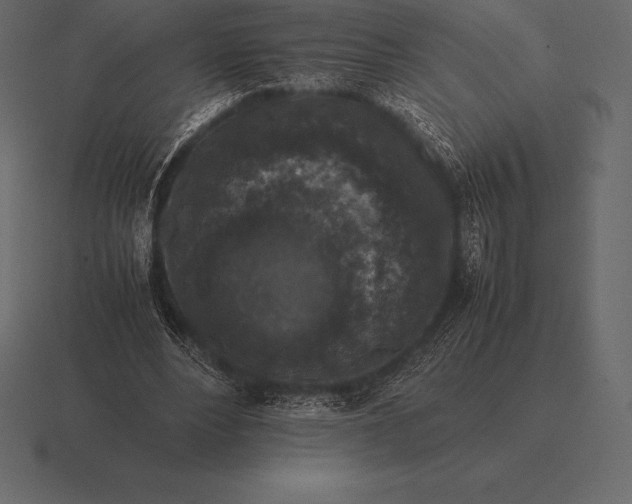 X0000116560488200912241617