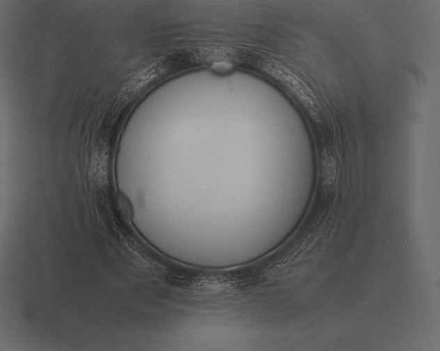 X0000116560489200912241617