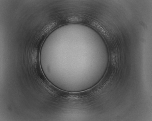 X0000116560490200912241617