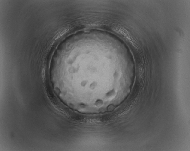 X0000116560491200912241617