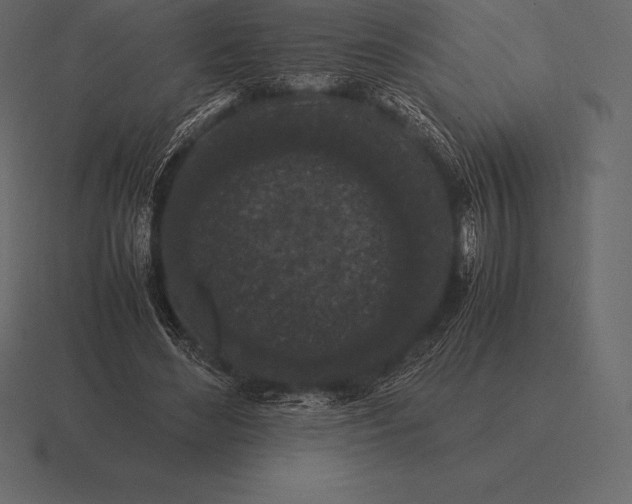 X0000116560492200912241617