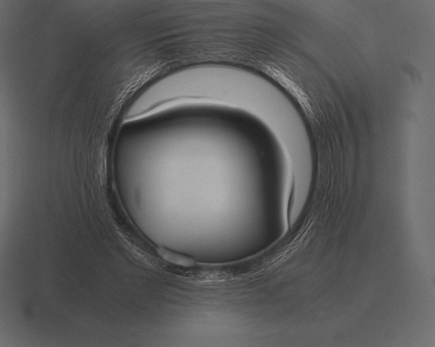 X0000116560493200912241617