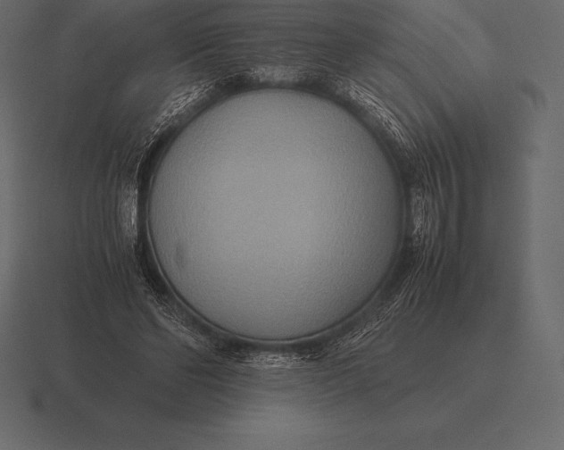 X0000116560494200912241617