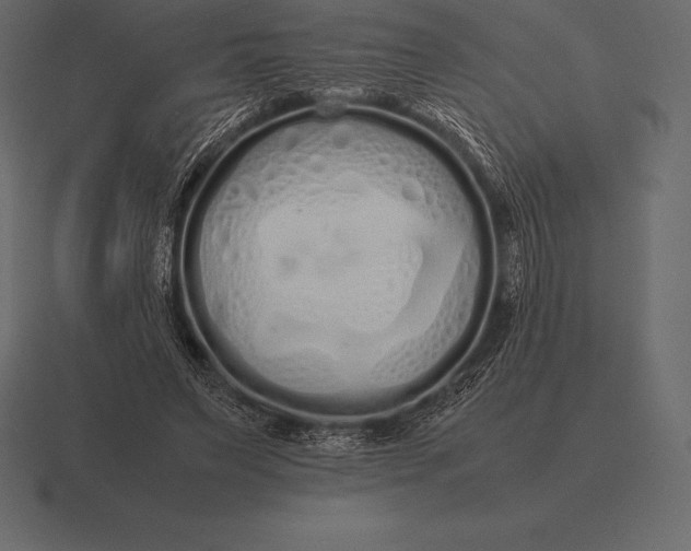 X0000116560495200912241617