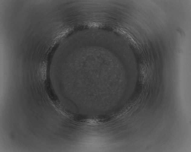 X0000116560496200912241617