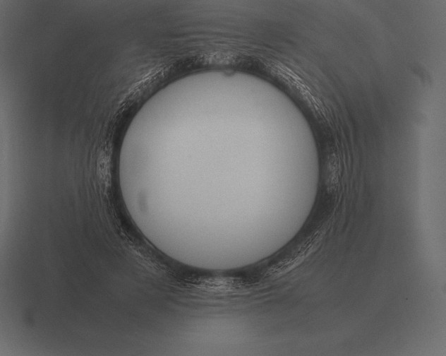 X0000116560497200912241617