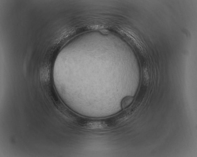 X0000116560499200912241617