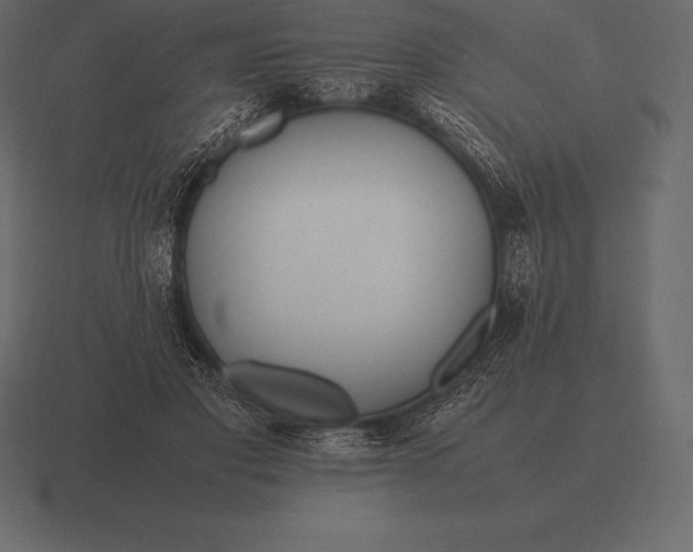 X0000116560501200912241617