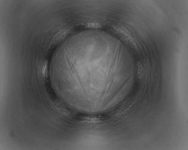 X0000116560502200912241617