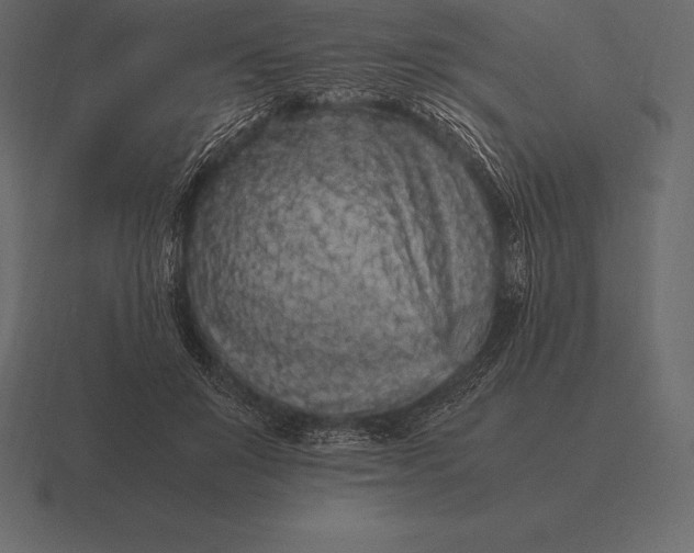 X0000116560503200912241617