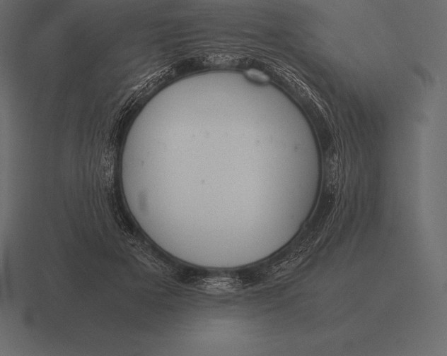 X0000116560505200912241617