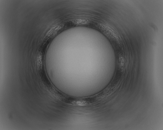 X0000116560506200912241617