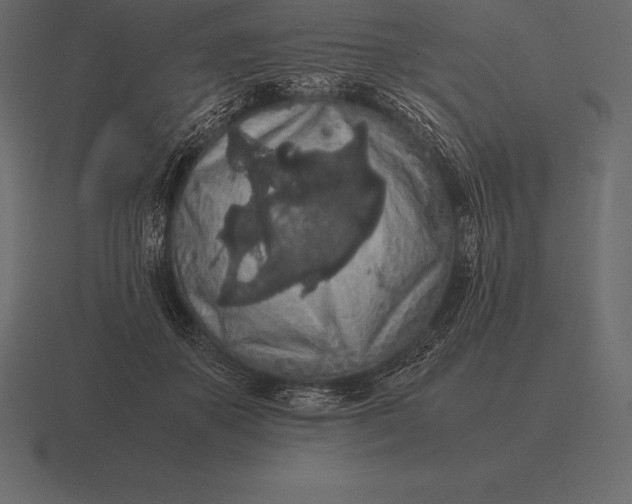 X0000116560507200912241617