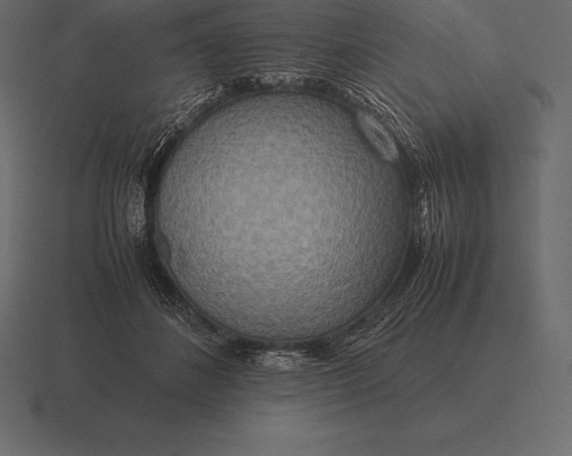 X0000116560508200912241617