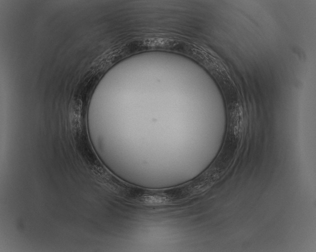 X0000116560510200912241617