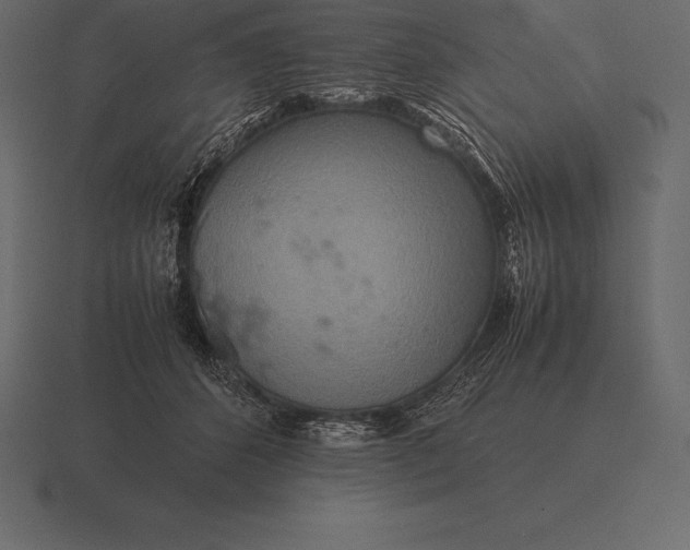 X0000116560512200912241617