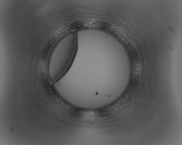 X0000116560513200912241617