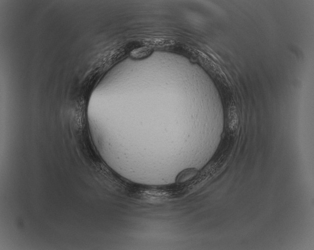 X0000116560515200912241617