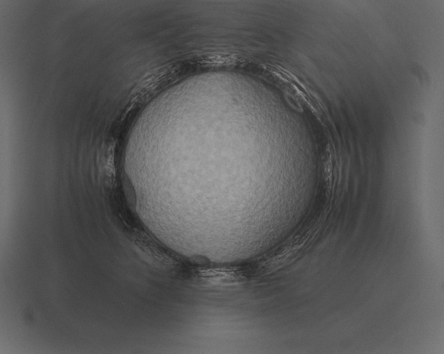 X0000116560516200912241617