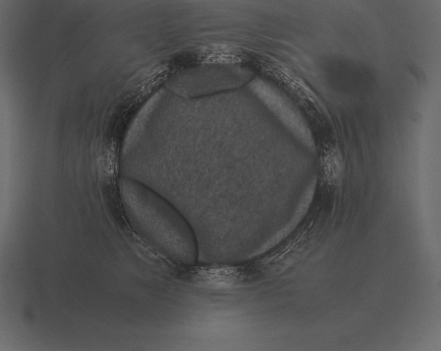 X0000116560517200912241617