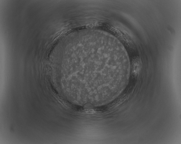 X0000116560519200912241617