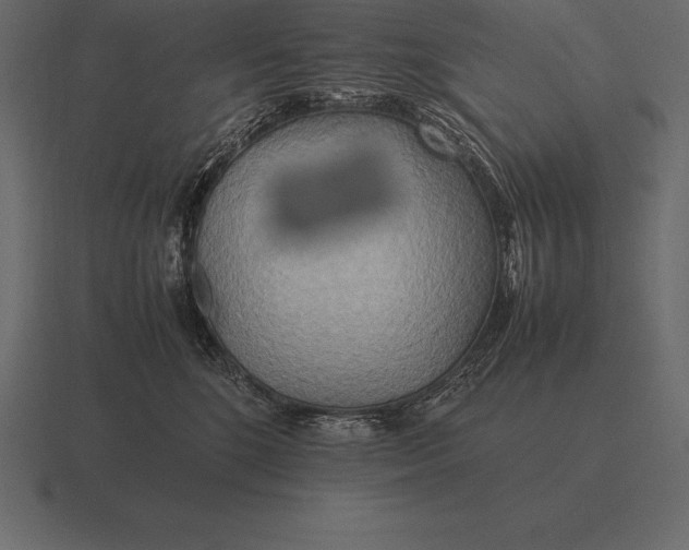 X0000116560520200912241617