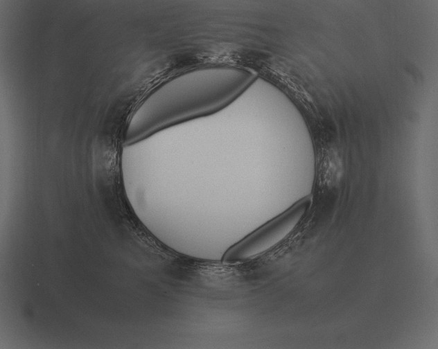 X0000116560521200912241617