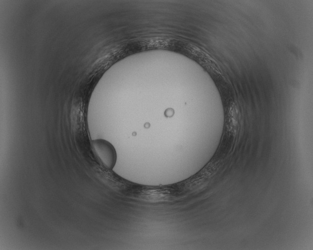 X0000116560522200912241617