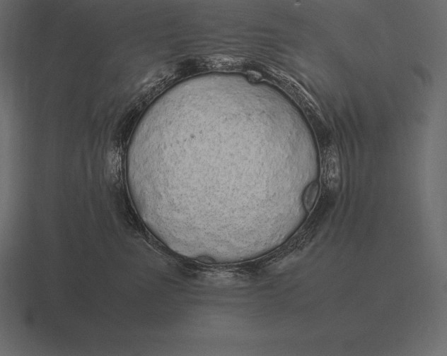 X0000116560523200912241617