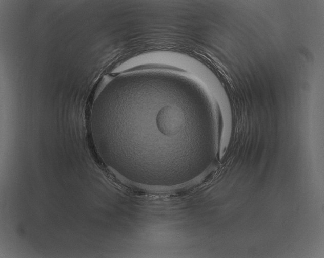 X0000116560524200912241617