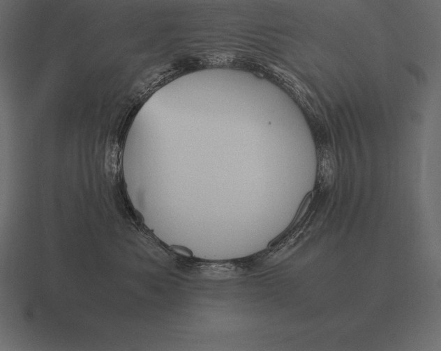 X0000116560525200912241617