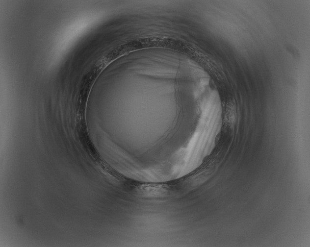 X0000116560526200912241617