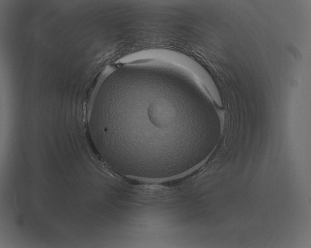 X0000116560528200912241617