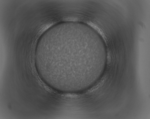 X0000116560529200912241616