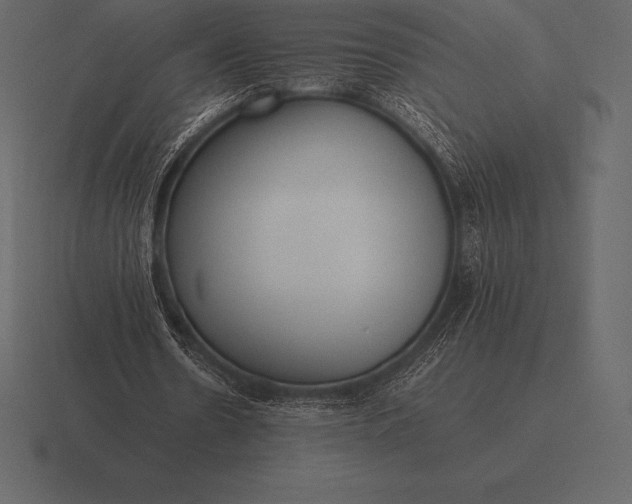 X0000116560530200912241616