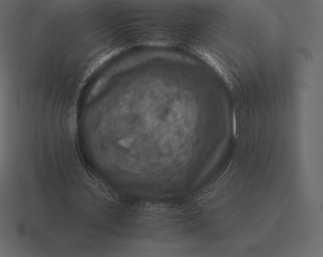 X0000116560531200912241616