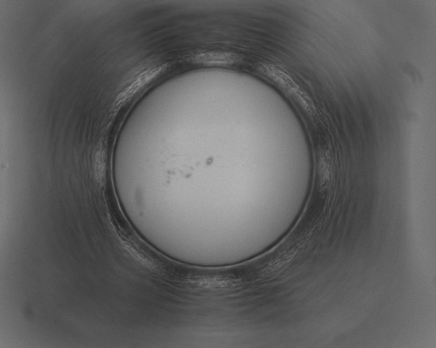 X0000116560533200912241616