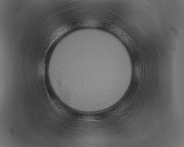 X0000116560534200912241616