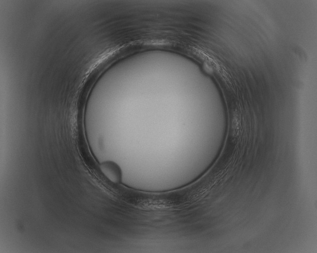 X0000116560535200912241616