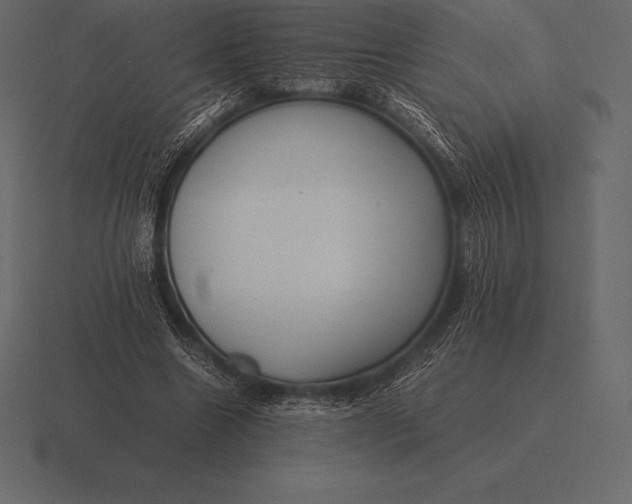 X0000116560538200912241616