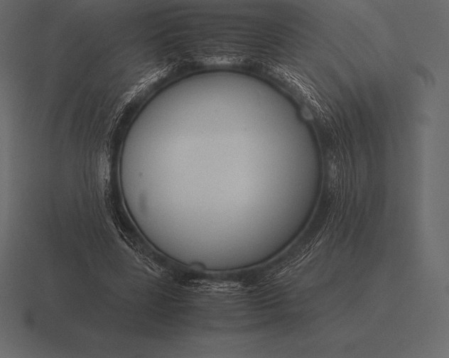 X0000116560539200912241616