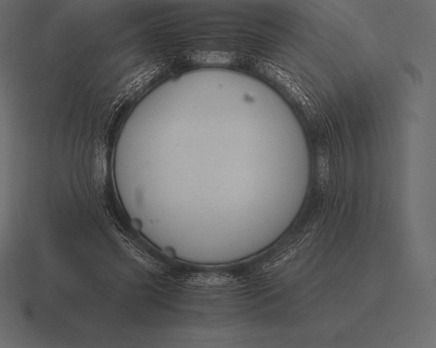 X0000116560541200912241617