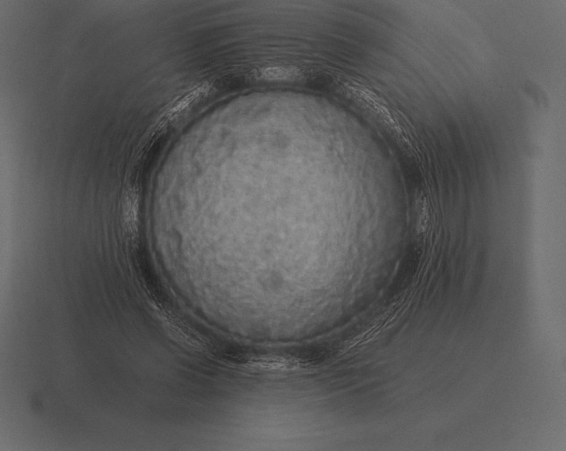 X0000116560542200912241617